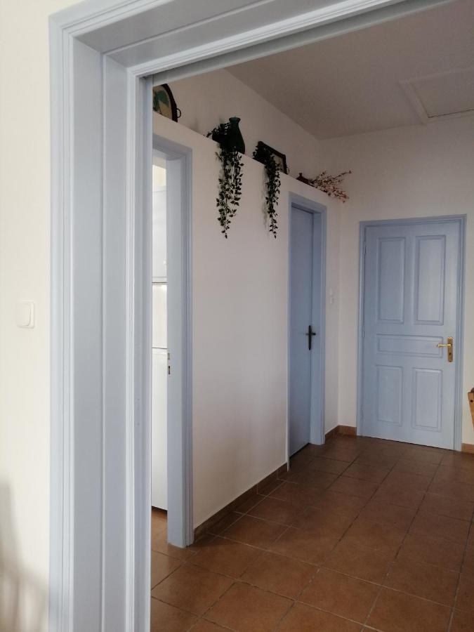 Aegina Port Apt 2-Διαμέρισμα Στο Λιμάνι Της Αίγινας 2 Extérieur photo