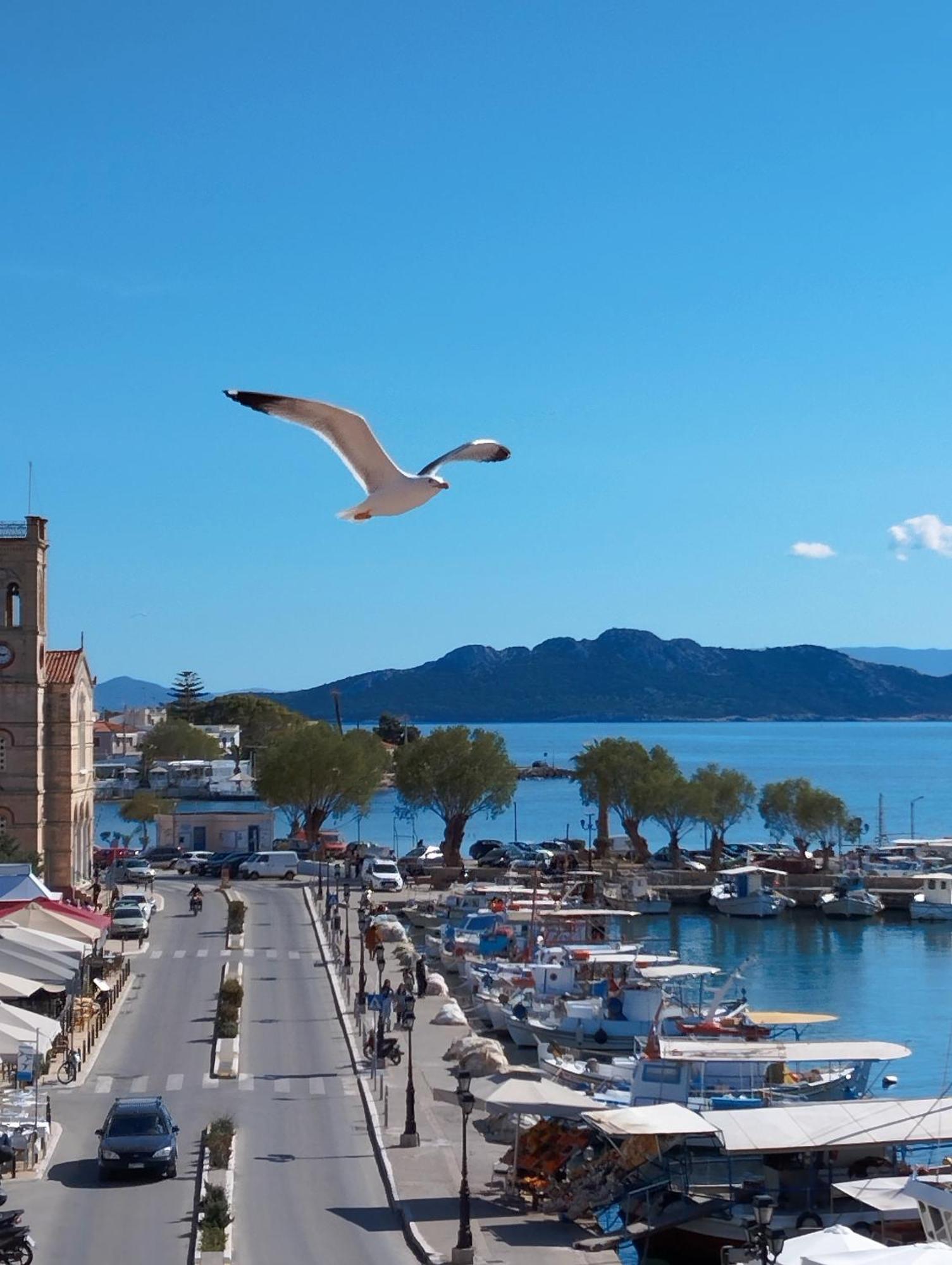 Aegina Port Apt 2-Διαμέρισμα Στο Λιμάνι Της Αίγινας 2 Extérieur photo